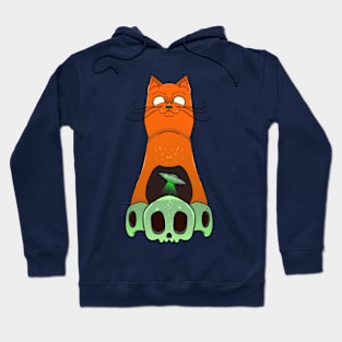 Cats Gods Hoodie